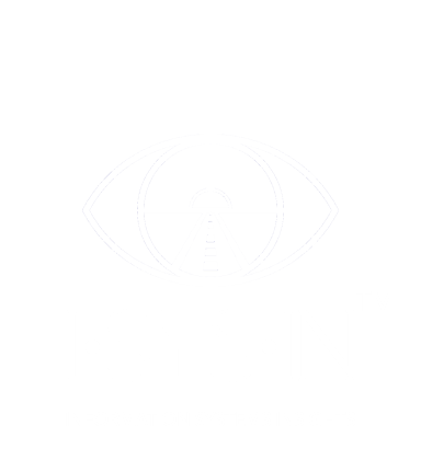 Information Systems Insights Logo